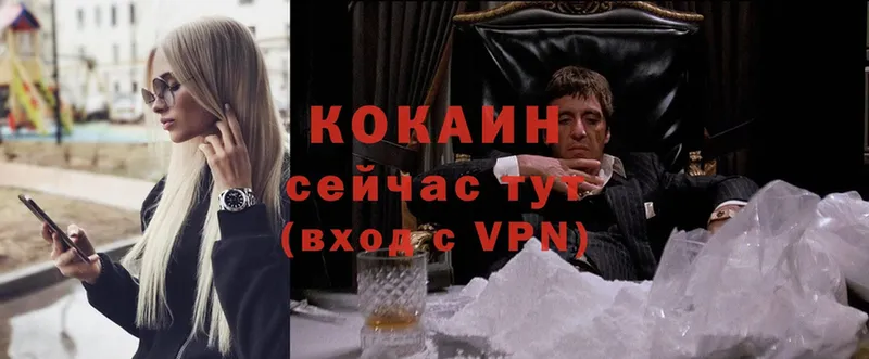 darknet формула  Ковылкино  COCAIN Columbia 